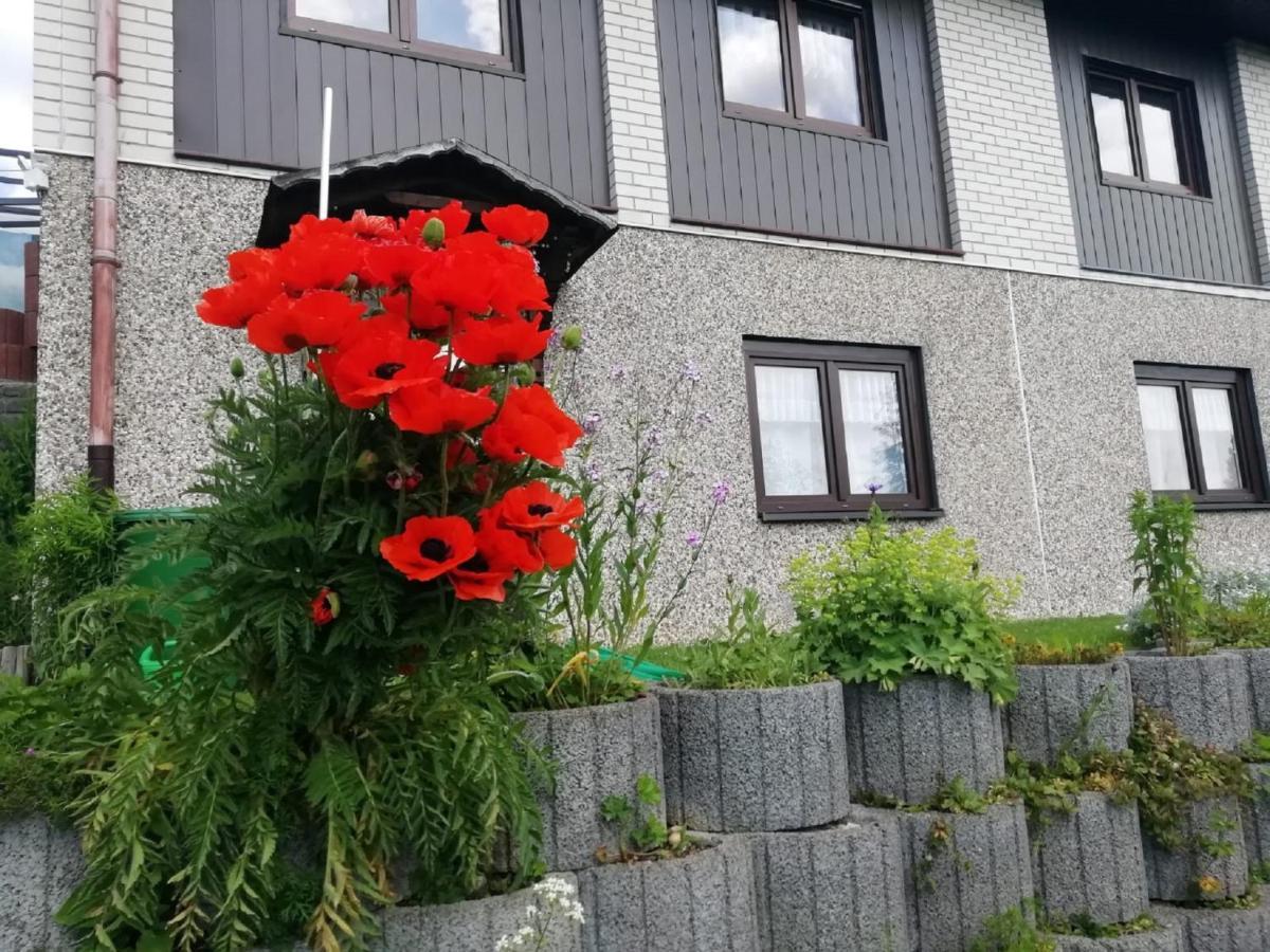 Ferienwohnung Suetovius كورورت اوبرويسنثا المظهر الخارجي الصورة